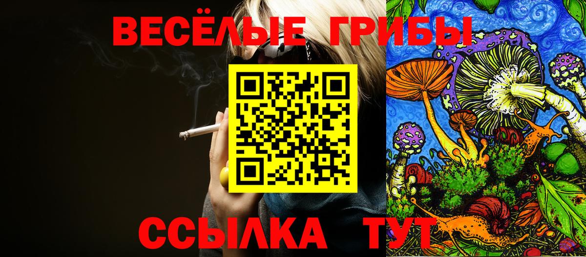 Мариинск  Галлюциногенные грибы прущие грибы  что такое наркотик  Вход с VPN 